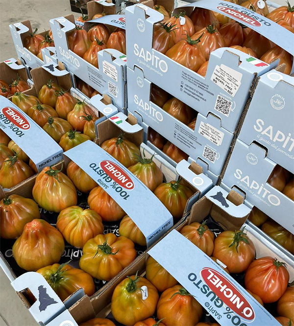Pomdoro Cuore di bue - 3 euro al chilogrammo